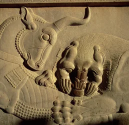 A Ferocious Lion Attacking a Bull (relief from the northern stairway facade of the Tripylon)